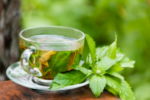 Green Tea Health Benefits