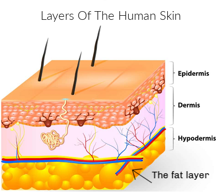 Face Exercising - the human skin